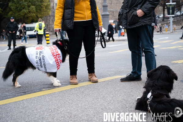 Manifestation contre la loi Covid et le passe sanitaire