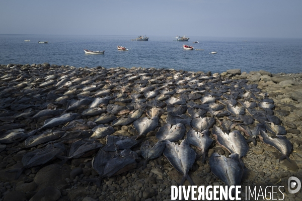 Pêcheurs du Cap Vert