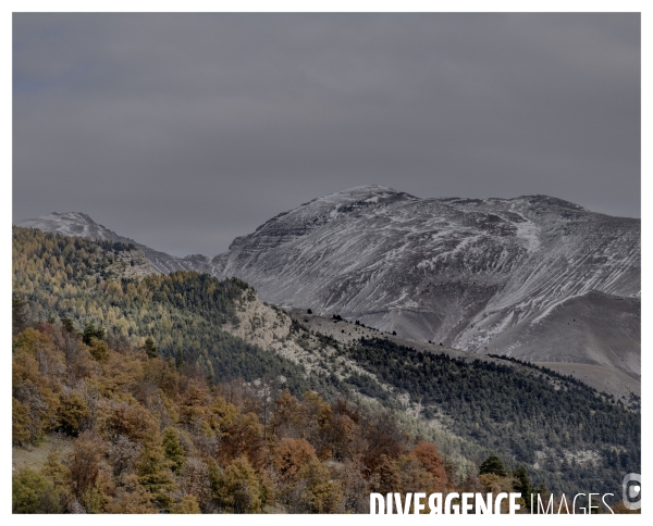 Le long de la Transbassealpine Digne-Nice ( l Automne )