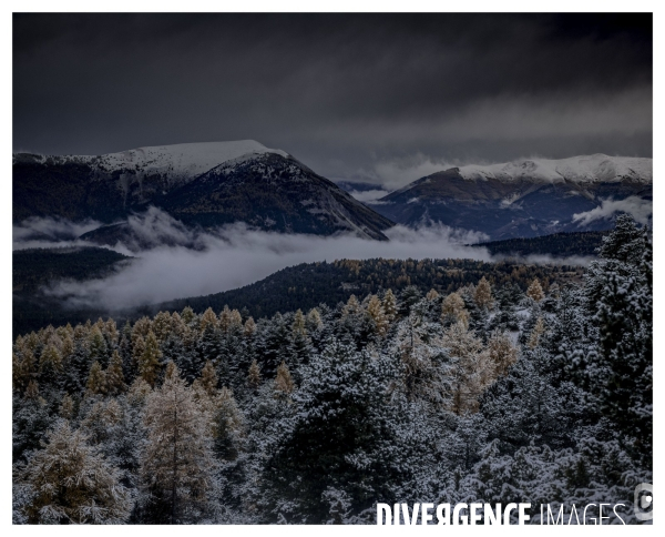 Le long de la Transbassealpine Digne-Nice ( l Automne )