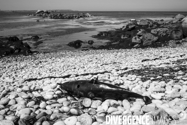 Réserves Naturelles de France