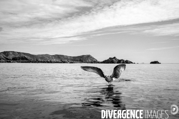 Réserves Naturelles de France