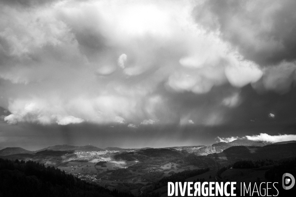 Réserves Naturelles de France