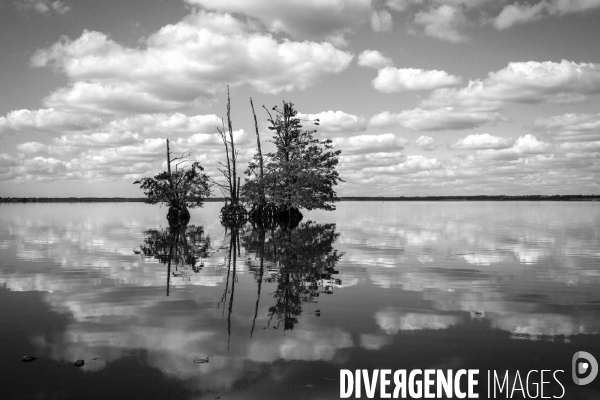 Réserves Naturelles de France