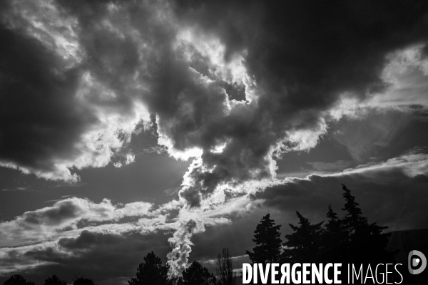 Réserves Naturelles de France