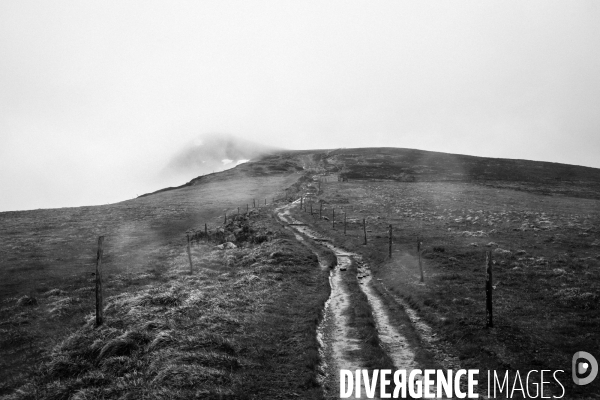 Réserves Naturelles de France