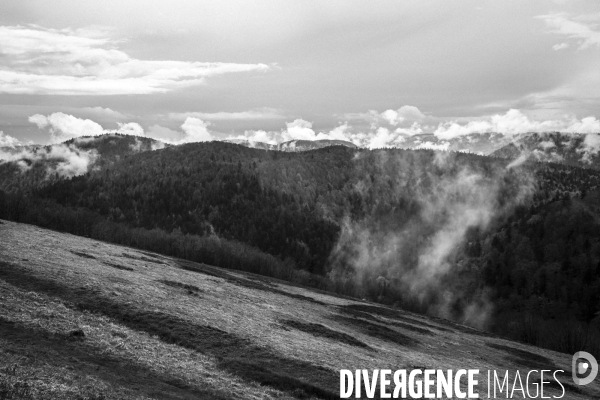 Réserves Naturelles de France