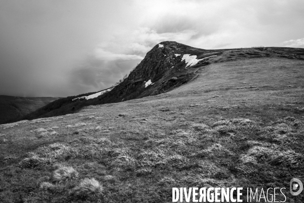 Réserves Naturelles de France