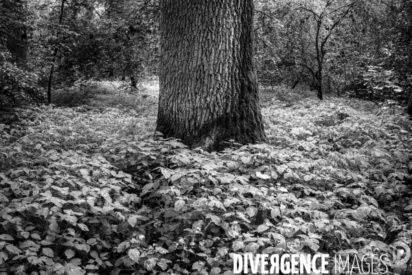 Réserves Naturelles de France
