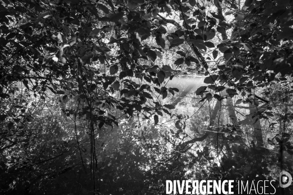 Réserves Naturelles de France