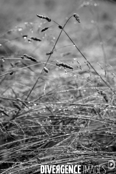 Réserves Naturelles de France