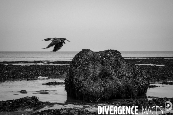 Réserves Naturelles de France