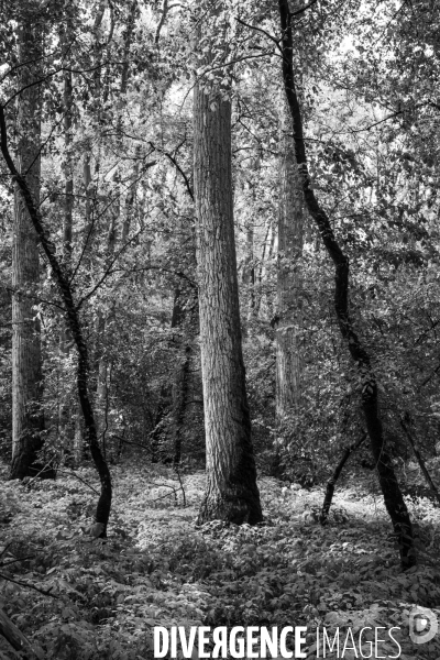 Réserves Naturelles de France