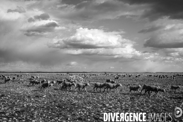 Réserves Naturelles de France