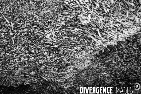 Réserves Naturelles de France