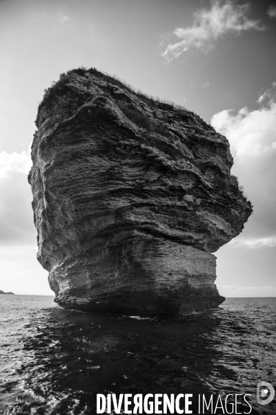 Réserves Naturelles de France