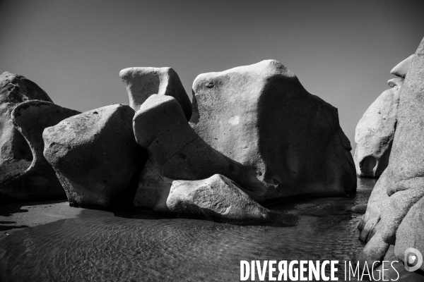 Réserves Naturelles de France
