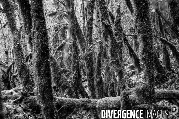 Réserves Naturelles de France