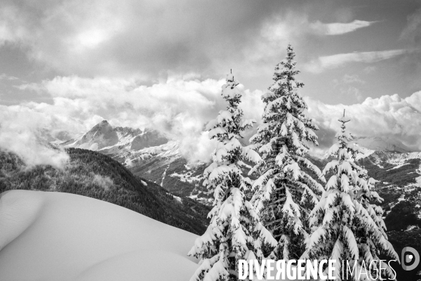 Réserves Naturelles de France