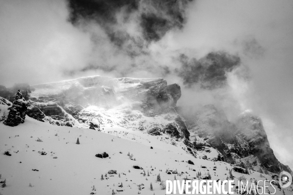 Réserves Naturelles de France