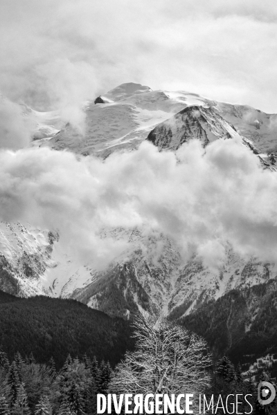 Réserves Naturelles de France