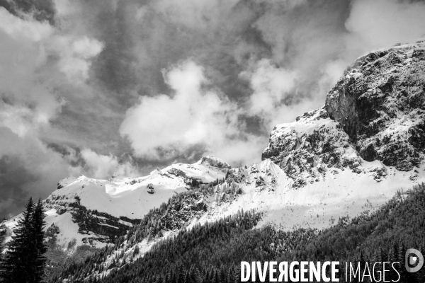 Réserves Naturelles de France