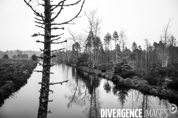 Réserves Naturelles de France