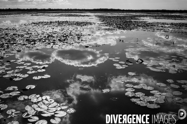 Réserves Naturelles de France