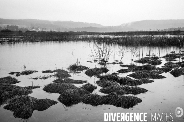 Réserves Naturelles de France