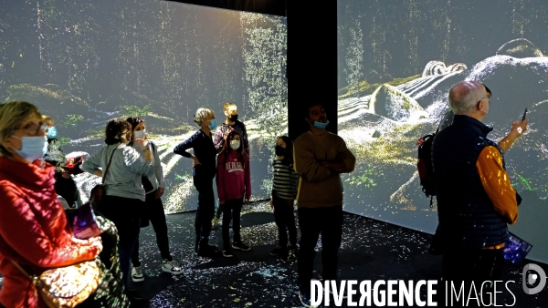 Au Museum d Histoire Naturelle, l exposition Odyssée sensorielle