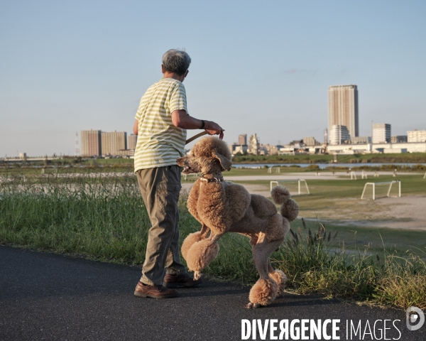 Tokyo, quartier d Edogawa