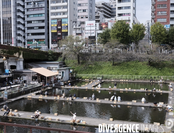 Tokyo, quartier d Edogawa