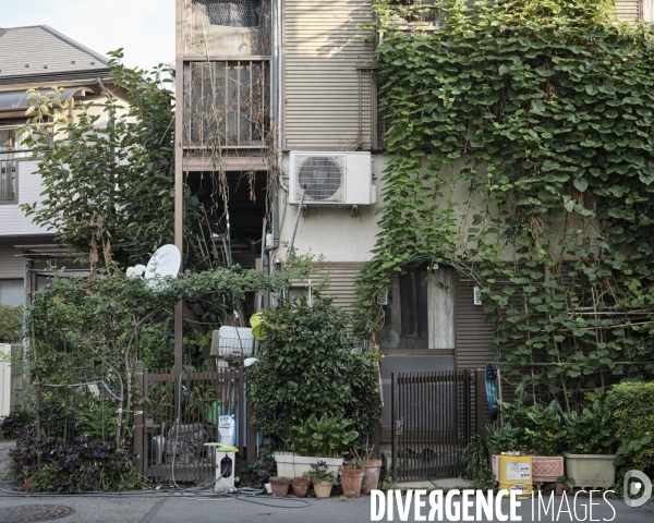 Tokyo, quartier d Edogawa