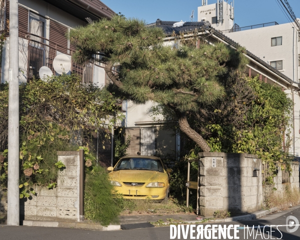 Tokyo, quartier d Edogawa