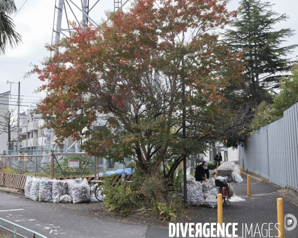 Tokyo, quartier d Edogawa