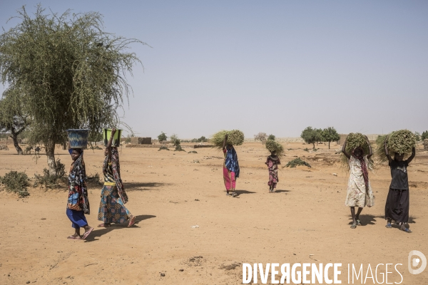 Patrouilles de Barkhane dans les villages maliens.