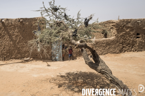 Patrouilles de Barkhane dans les villages maliens.