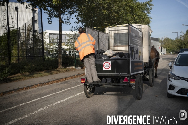 Traction animale,ramassage des corbeilles dans un quartier  de Rouen