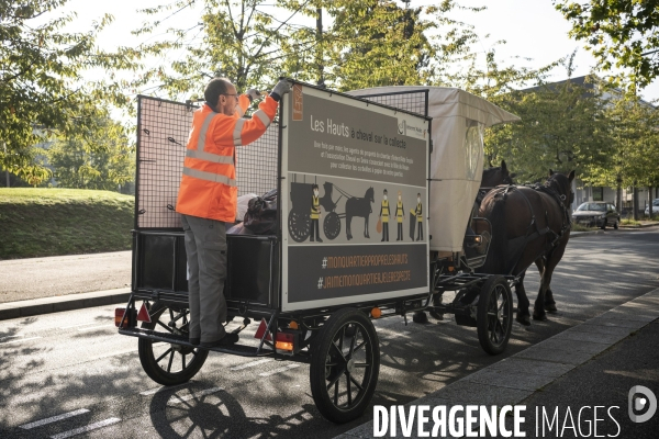 Traction animale,ramassage des corbeilles dans un quartier  de Rouen