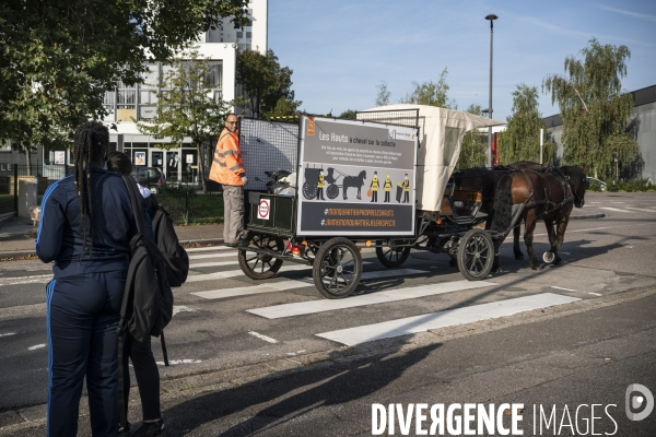 Traction animale,ramassage des corbeilles dans un quartier  de Rouen