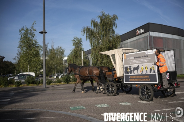 Traction animale,ramassage des corbeilles dans un quartier  de Rouen