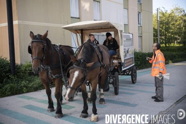 Traction animale,ramassage des corbeilles dans un quartier  de Rouen