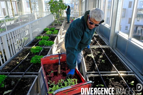 La cité maraichére, une serre verticale de maraichage ecologique va nourrir, à terme, 160 familles.