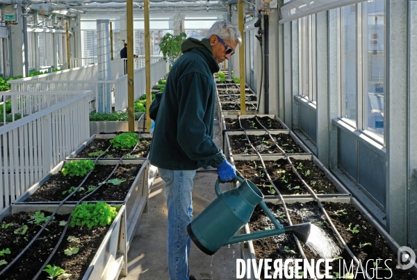 La cité maraichére, une serre verticale de maraichage ecologique va nourrir, à terme, 160 familles.