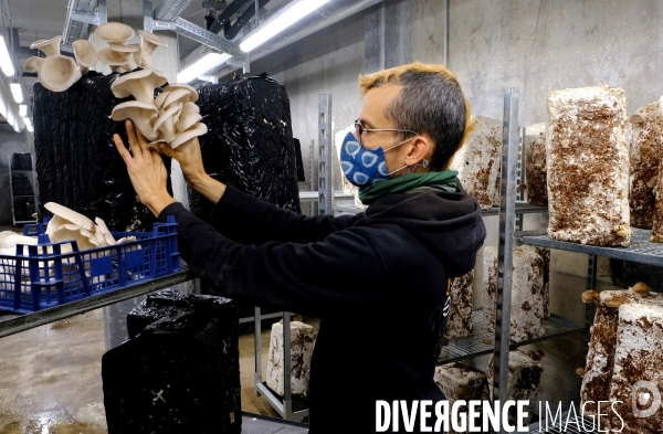 La cité maraichére, une serre verticale de maraichage ecologique va nourrir, à terme, 160 familles.