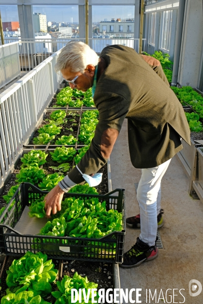 La cité maraichére, une serre verticale de maraichage ecologique va nourrir, à terme, 160 familles.