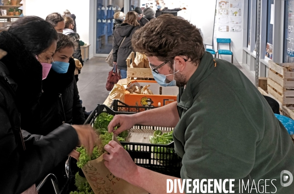 La cité maraichére, une serre verticale de maraichage ecologique va nourrir, à terme, 160 familles.