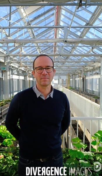 La cité maraichére, une serre verticale de maraichage ecologique va nourrir, à terme, 160 familles.