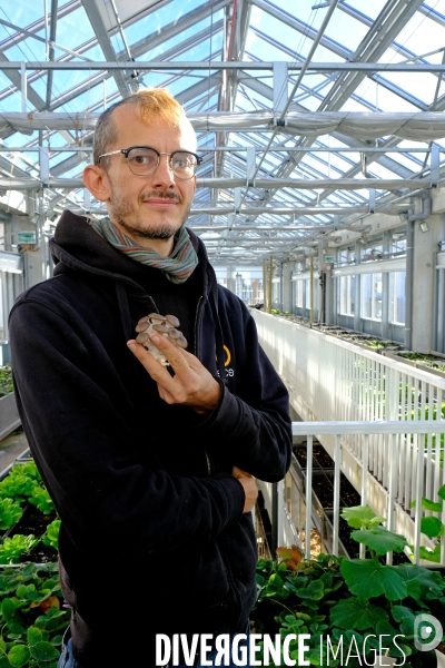 La cité maraichére, une serre verticale de maraichage ecologique va nourrir, à terme, 160 familles.