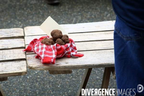 Marché aux truffes